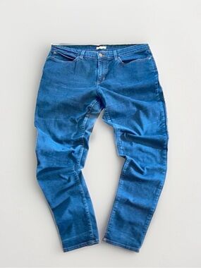 Eileen Fisher Organic Blue Denim Jeans